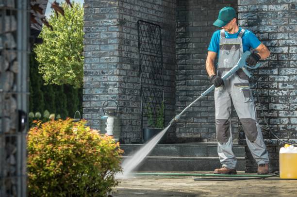 Best Soft Washing  in Memphis, FL